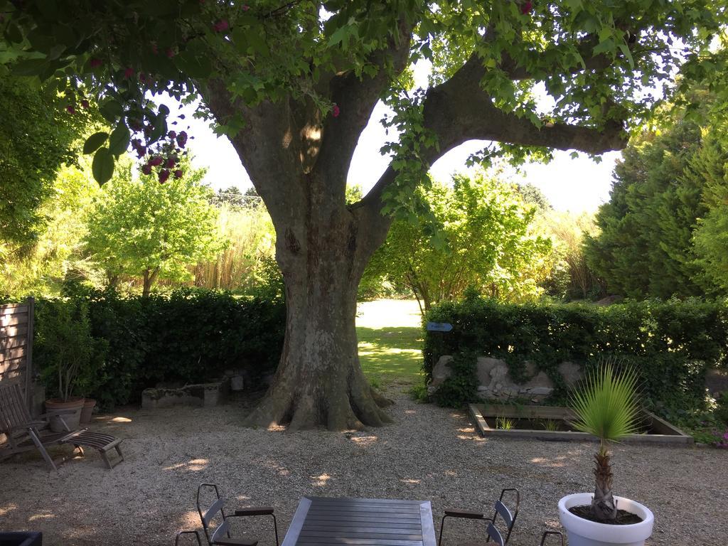 Montjoia Bed and Breakfast LʼIsle-sur-la-Sorgue Eksteriør billede