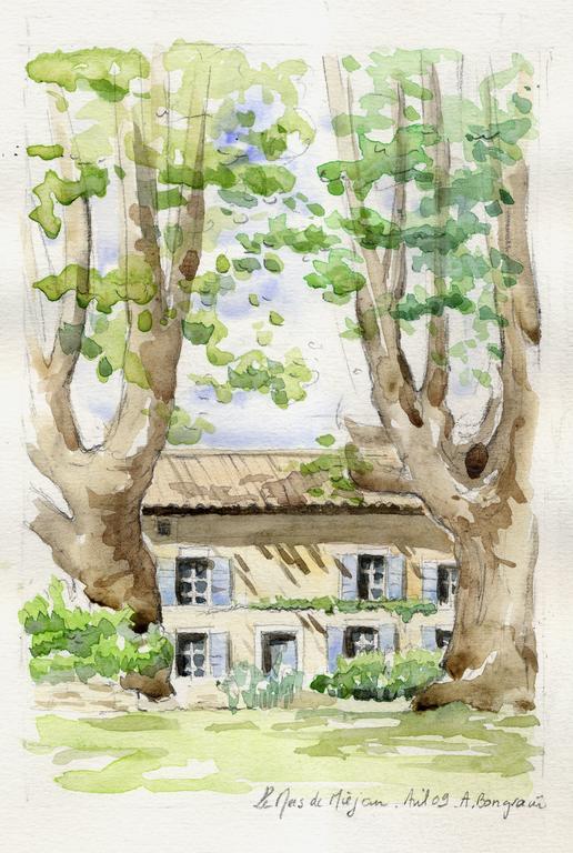 Montjoia Bed and Breakfast LʼIsle-sur-la-Sorgue Eksteriør billede