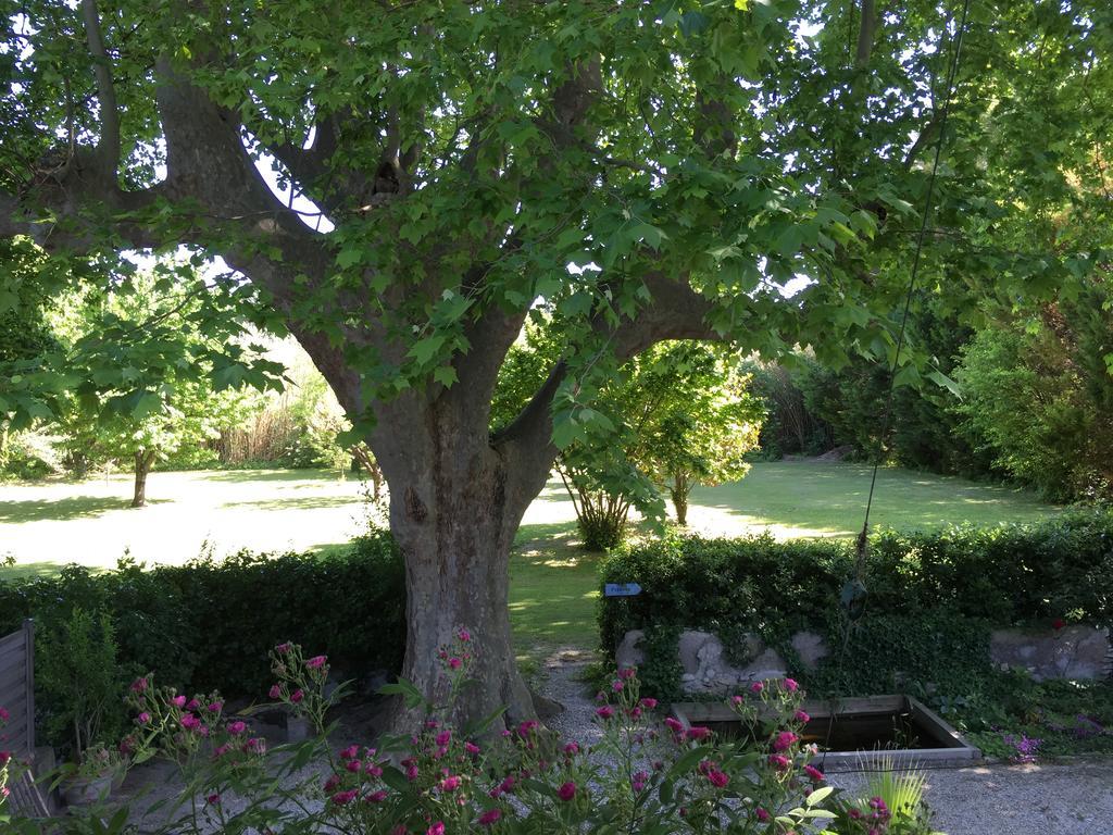Montjoia Bed and Breakfast LʼIsle-sur-la-Sorgue Eksteriør billede